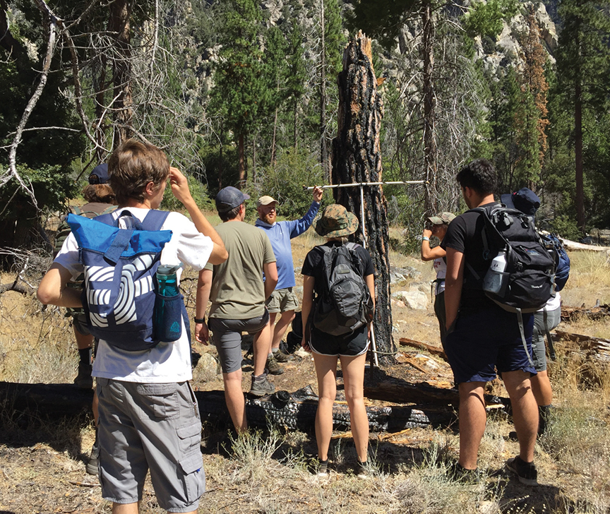 National park research fellowships increase capacity and creativity in ...